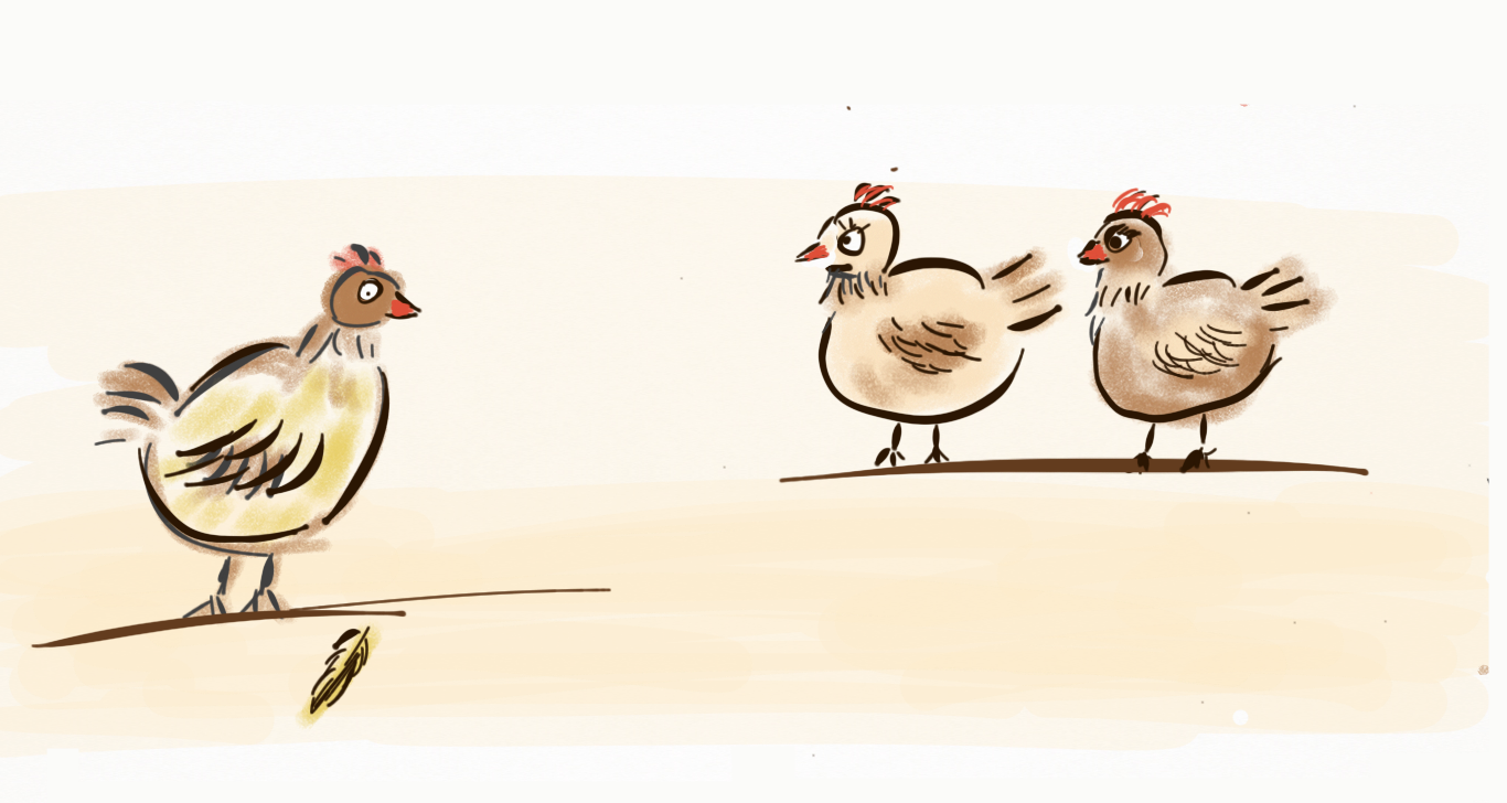 Lehrstück für transparente Kommunikation: Wie aus einer Feder fünf tote Hühner wurden